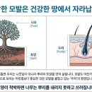 세란의원