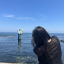 이팝미용 | 행운을 모두 소진했습니다