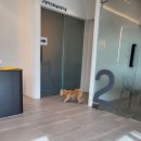 장현 동물병원 이미지