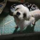 학천초등학교 이미지