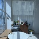 (주)삼영디자인 | 대구 레터링 케이크 당일 주문제작 가능한 '코이케이쿠' 내돈내산 솔직후기