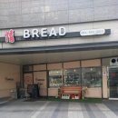 정브레드 이미지