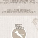 휴먼체험단 네이버블로그