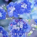 DESK COSMOS10 이미지
