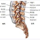 포도나무한의원 이미지
