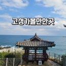 왕소나무길 | 고성 가볼만한곳 TOP3 건봉사 청간정 천학정 여행코스