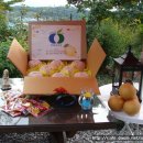 안나농원 이미지