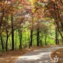 파란만장한 역사가 담긴 백제의 산성, 부여 가림성(성흥산성) 이미지