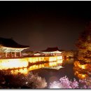 경주