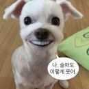 [터미널 에스프레소] 크리에이터 1기 합격 후기