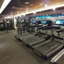 비타민 스크린골프 이미지