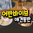 포항 어반바이브 송도동 애견동반 내돈내산 #조용한카페