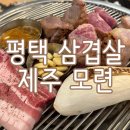 제주모련 이미지