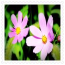 대구역 오페라W주거복합 이미지