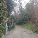 부광상회 이미지