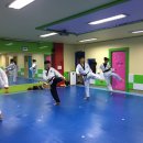 아리솔태권도장 이미지