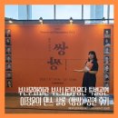 부산시립무용단 초청공연 | [부상문화회관 공연 후기] 부산시립무용단 특별공연 이정윤의 댄스살롱_별이 빛나는 &lt;쌍쌍&gt; 🌠💃🕺