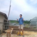 금란한우농장 이미지