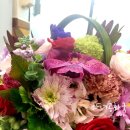 화비꽃방 이미지