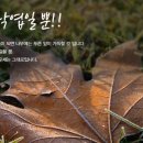 노들담한의원 이미지