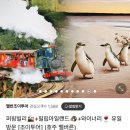 한국조이투어 이미지