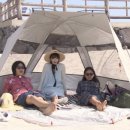 지니민박 이미지