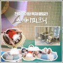 스테이 피크닉 | 전주 근교 키즈 풀빌라 스테이피크닉 감성 숙소, 조동모임하기 좋아