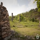 태조농장 이미지