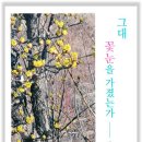박세자「그대 꽃눈을 Daum카페