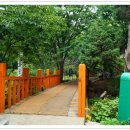 너부대근린공원 이미지