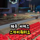 스카이워터쇼 | 제주 올패스 스카이워터쇼, 서커스 공연 관람 후기