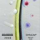 운동화빨래방 슈즈쿨 | 이재용도 반한 스케쳐스 여행용 출퇴근용 발 편한 운동화 추천