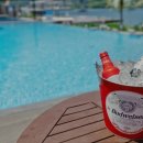 어거스트 청평 이미지