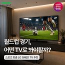 신영스포츠 | 축구 볼 때 TV 크기가 중요한 이유? LG QNED 65·75·86인치 대형 TV 추천(넾다세일, 국민응원 대축제)