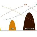 커피 로스팅 - 로스팅 단계에 따라 맛이 다른가요? 이미지