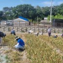 영오면사무소 이미지