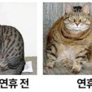 미라클 점핑 이미지