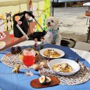 산삼자연휴양림 이미지