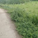 월포보건진료소 이미지