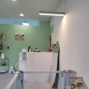 아르밤 펫 이미지