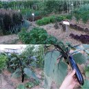 반야월주유소 이미지