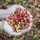 서울온(ON)농부들 이미지