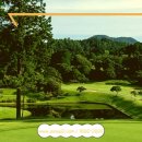 금잔디 골프 클럽 이미지