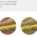 계룡특약점