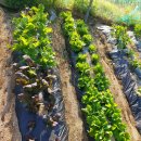 선애황토방 이미지