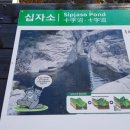 소 담