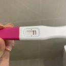 선보약국 | 나팔관조영술 후 임신 성공 후기 배란11일차 배란12일차 얼리 임테기 두줄