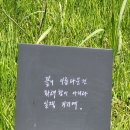 태창조경
