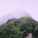 목포신흥초등학교 | (국내 명산) 홍도 깃대봉 (368m) - 100명산