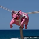 신림역 2번출구 이미지